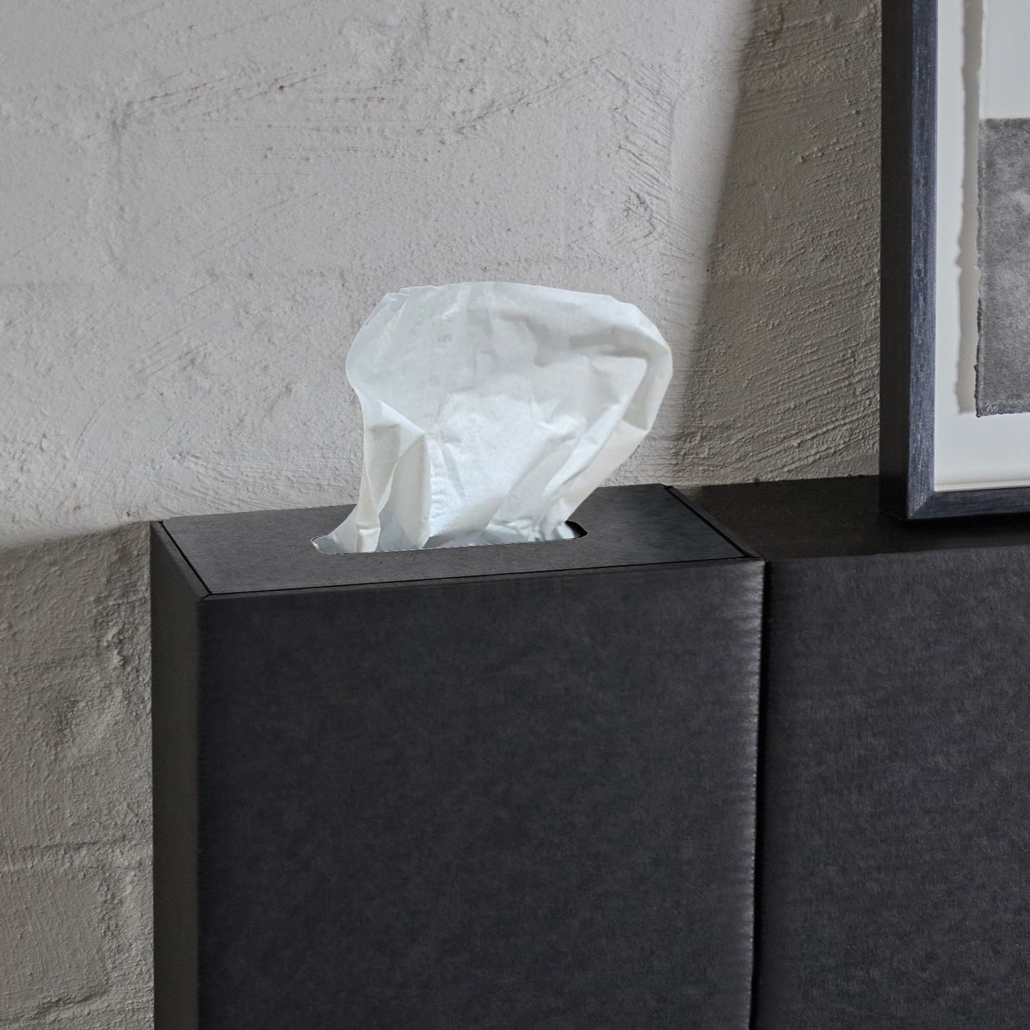 Tissue holder